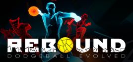Rebound Dodgeball Evolved цены