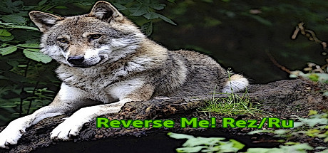 Prix pour Reverse Me! Rez/Ru