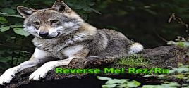 Reverse Me! Rez/Ru系统需求