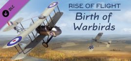 Rise of Flight: Birth of Warbirds Systemanforderungen