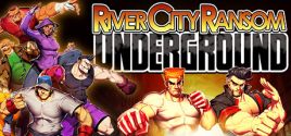 River City Ransom: Underground System Requirements