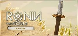 RONIN: Two Souls系统需求
