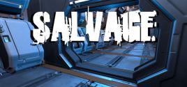 Salvage 价格