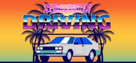 Seaside Driving System Requirements