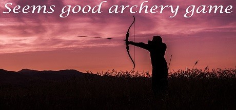 Seems good archery game価格 