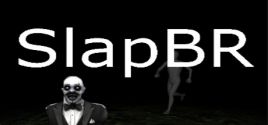 Configuration requise pour jouer à SlapBR