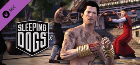 Sleeping Dogs: Martial Arts Pack系统需求