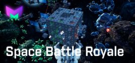 Space Battle Royale цены