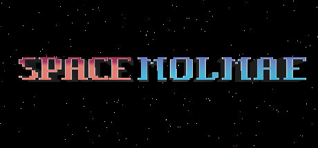 Configuration requise pour jouer à SPACE MOLMAE