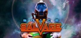 Space Salvage System Requirements