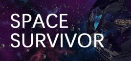 Space Survivor 가격