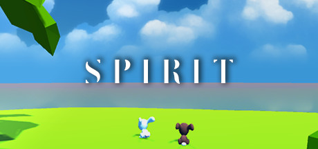 Spirit 가격