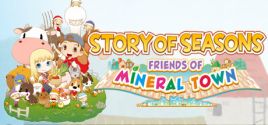 STORY OF SEASONS: Friends of Mineral Town System Requirements