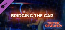 Super Seducer - Bonus Video 4: Bridging the Gap 价格