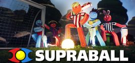 Supraball System Requirements