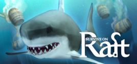 Survive on Raft System Requirements
