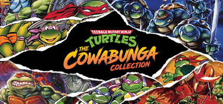 Teenage Mutant Ninja Turtles: The Cowabunga Collection цены