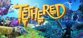 Prix pour Tethered