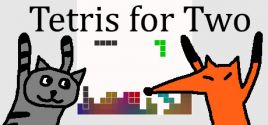 Tetris for Two System Requirements