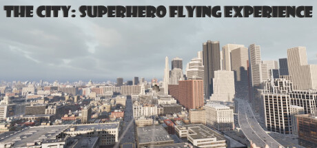 The City: Superhero Flying Experience系统需求