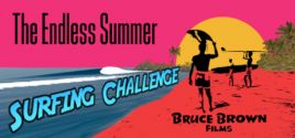 Configuration requise pour jouer à The Endless Summer Surfing Challenge