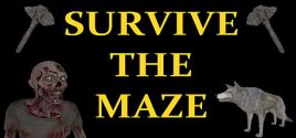 The Maze 시스템 조건