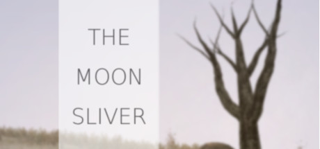 The Moon Sliver цены