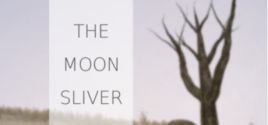 The Moon Sliver prices