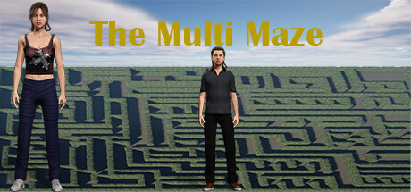 Configuration requise pour jouer à The Multi Maze