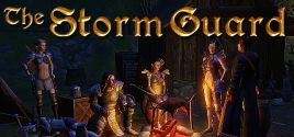 The Storm Guard: Darkness is Coming precios