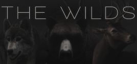 The WILDS System Requirements