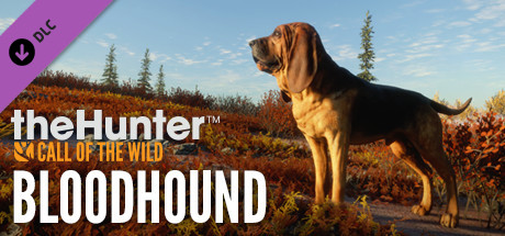 Prix pour theHunter: Call of the Wild™ - Bloodhound