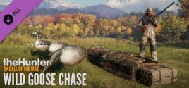 theHunter: Call of the Wild™ - Wild Goose Chase Gear価格 