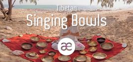 Требования Tibetan Singing Bowls | Sphaeres VR Relaxation | 360° Video | 6K/2D