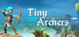 Tiny Archers VR цены