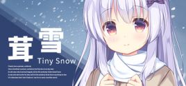 Tiny Snow System Requirements