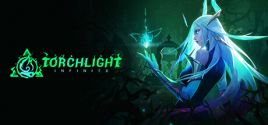 Требования Torchlight: Infinite