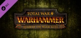 Total War: WARHAMMER - Realm of The Wood Elves precios