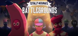 Totally Accurate Battlegrounds系统需求