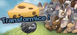 Transformice System Requirements