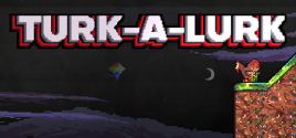Turk-A-Lurk系统需求