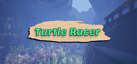 Configuration requise pour jouer à Turtle Racer
