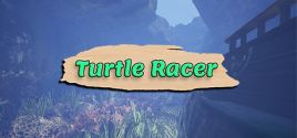 Configuration requise pour jouer à Turtle Racer