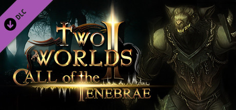 Two Worlds II - Call of the Tenebrae 价格