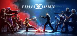 VEILED EXPERTS System Requirements