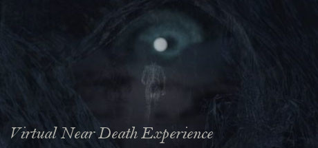 Virtual Near Death Experience系统需求