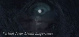 Virtual Near Death Experience System Requirements