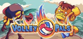 Volley Pals System Requirements