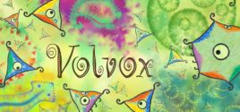 Volvox ceny