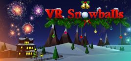 Prix pour VR Snowballs